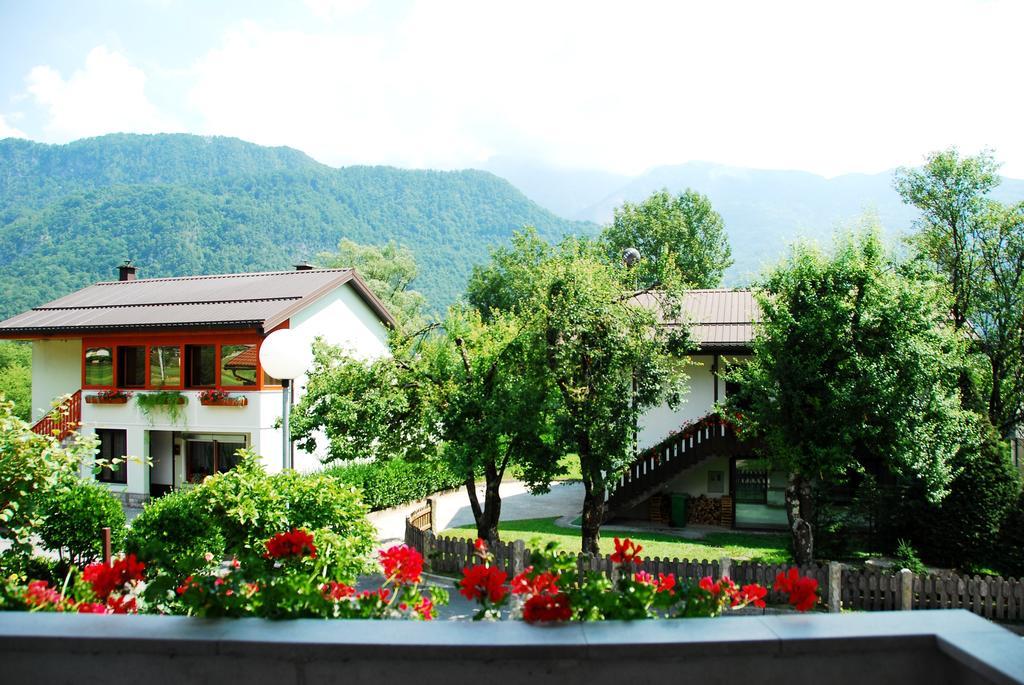 Budget Homestay Kobarid Rum bild