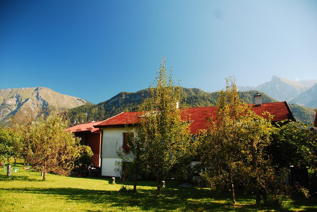 Budget Homestay Kobarid Exteriör bild